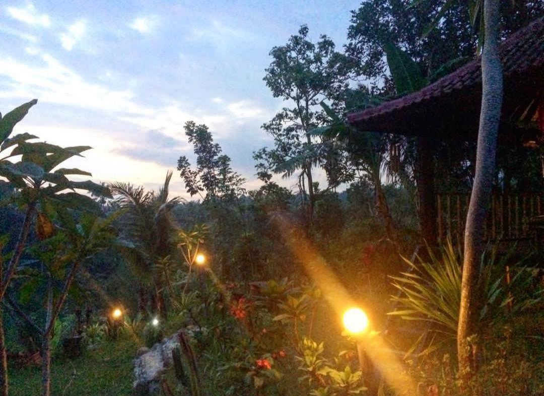 Sky Garden Lombok Apartment Tetebatu Bagian luar foto